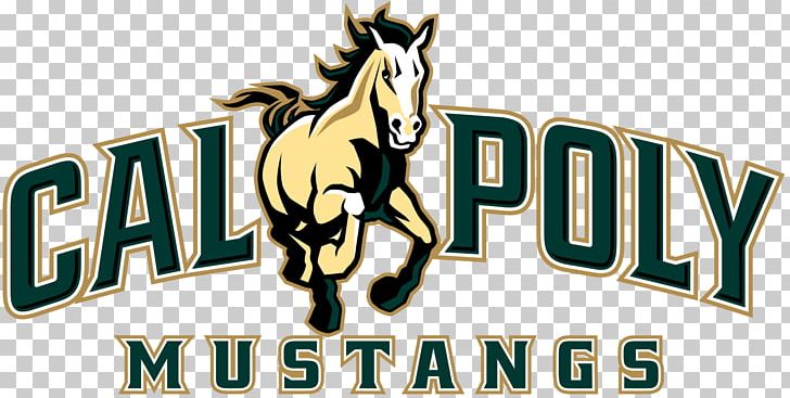 California Polytechnic State University Cal Poly San Luis Obispo College Of Engineering Cal Poly Mustangs Football Cal Poly Mustangs Men's Basketball Cal Poly Mustangs Baseball PNG, Clipart,  Free PNG Download