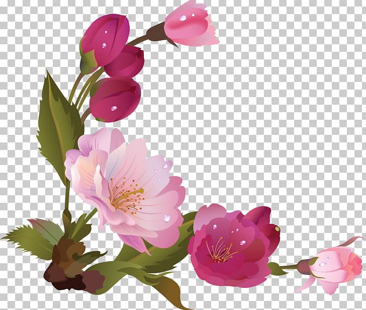 Flower PNG, Clipart, Apricot, Blossom, Branch, Cherry Blossom, Floral Design Free PNG Download