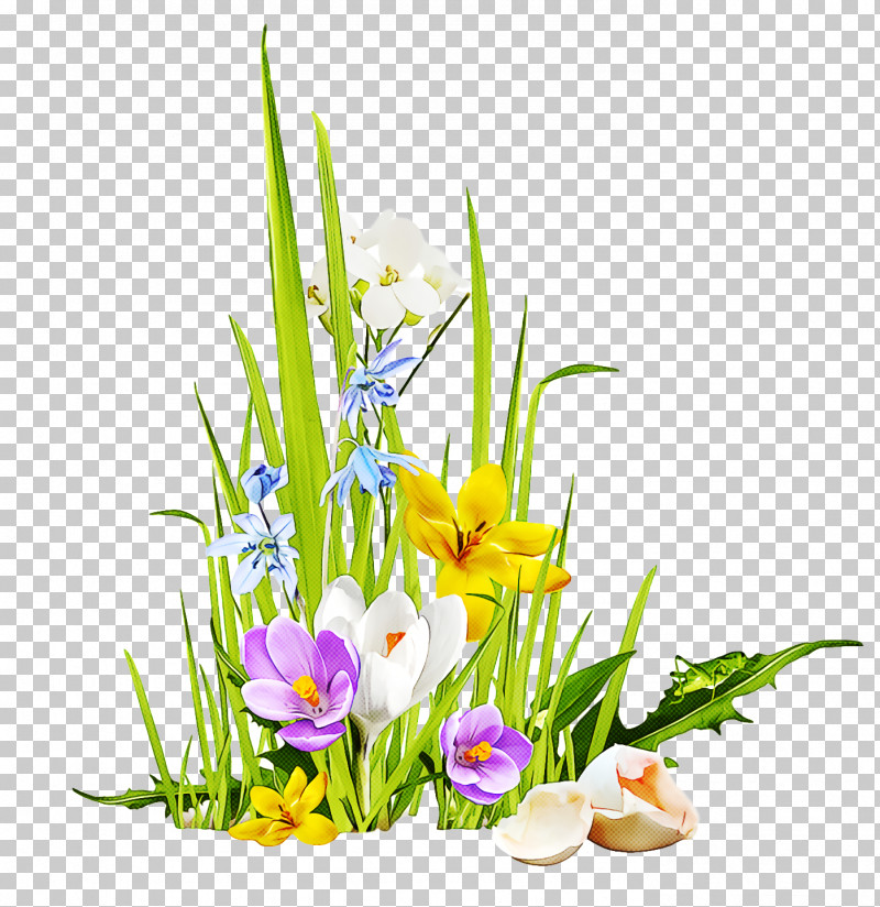 Spring PNG, Clipart, Crocus, Cut Flowers, Floral Design, Floristry, Flower Free PNG Download