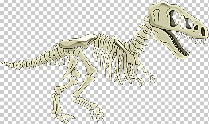 Tyrannosaurus Velociraptor Line Art Skeleton Meter PNG, Clipart, Animal Figurine, Biology, Line Art, Meter, Science Free PNG Download