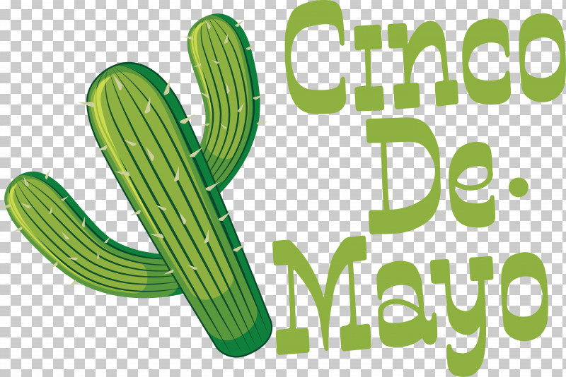 Cactus PNG, Clipart, Cactus, Caryophyllales, Meter, Nopal Free PNG Download