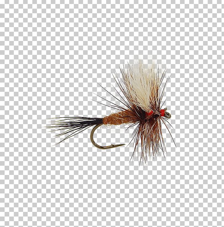 Artificial Fly Mayfly Fly Fishing Gray Fox Nymph PNG, Clipart, Artificial Fly, Fennec Fox, Fishing, Fishing Bait, Fly Free PNG Download