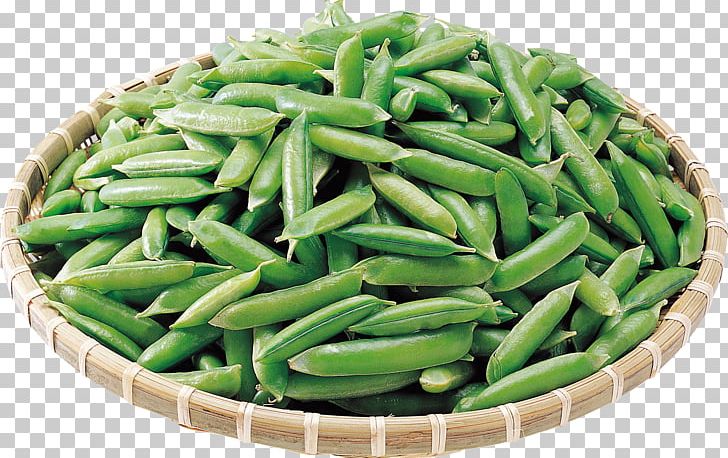 Common Bean Pea Lima Bean Vegetarian Cuisine Vegetable PNG, Clipart, Bean, Beans, Common Bean, Ervilha Petit Pois, Food Free PNG Download