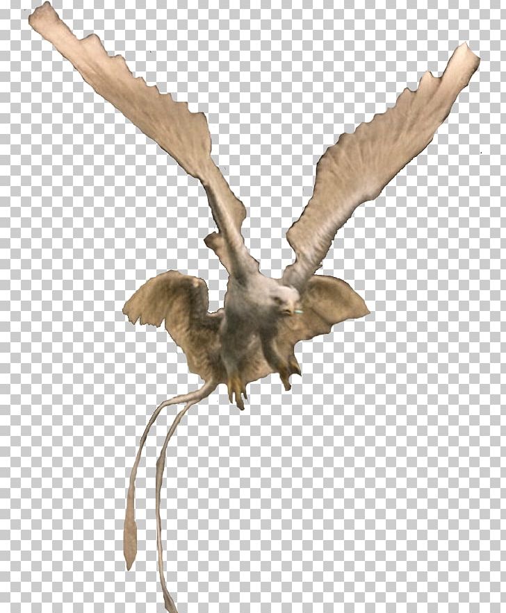 Jacob Kowalski Newt Scamander Thunderbird The Wizarding World Of Harry Potter PNG, Clipart, 2016, Beak, Bird, Bird Of Prey, Branch Free PNG Download