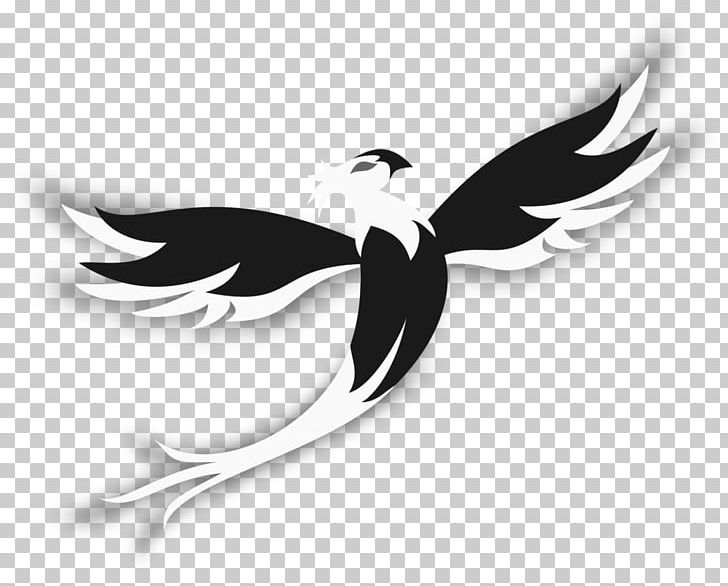 Logo Water Bird Beak Silhouette PNG, Clipart, Animals, Beak, Bird, Black And White, Computer Free PNG Download