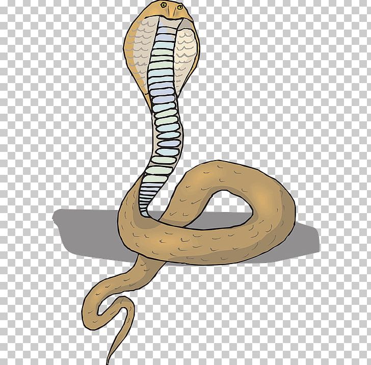 Snake King Cobra PNG, Clipart, Animals, Animation, Boa Constrictor, Boas, Cobra Free PNG Download