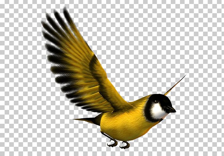 Bird Flight Bird Flight Eurasian Magpie Yellow PNG, Clipart, Airplane, Animals, Beak, Bird, Bird Cage Free PNG Download