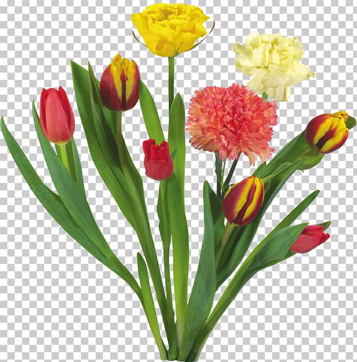 Carnation Tulip Flower Bouquet Garden Roses PNG, Clipart, Android, Carnation, Cut Flowers, Desktop Wallpaper, Floral Design Free PNG Download