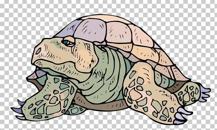 Tortoise Sea Turtle Crocodiles PNG, Clipart, Amphibian, Animal, Animals, Art, Carnivoran Free PNG Download