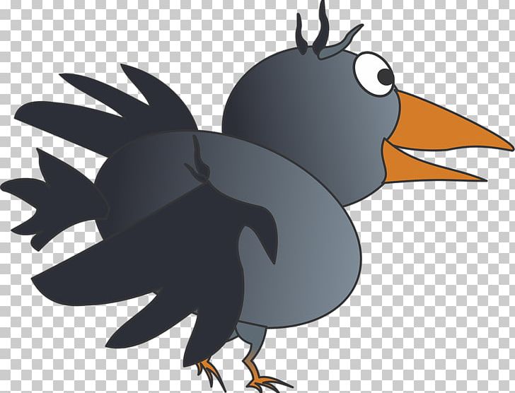 Bird Hooded Crow Common Raven Drawing PNG, Clipart, Animals, Beak, Bird, Cartoon, Chicken Free PNG Download