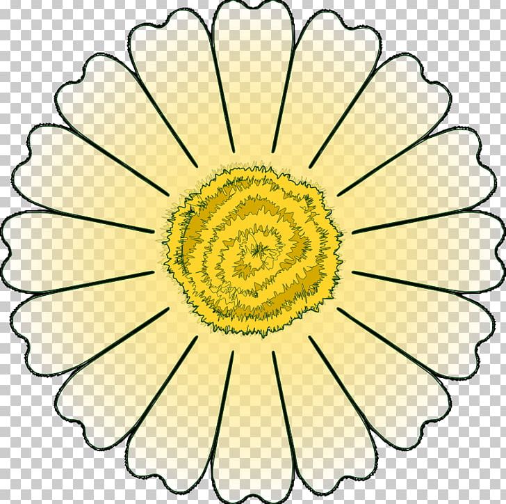 Flower Petal Common Daisy PNG, Clipart, Chrysanths, Circle, Color, Common Daisy, Cut Flowers Free PNG Download
