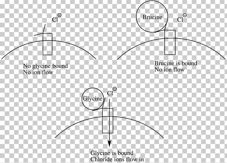 Paper Drawing Circle White PNG, Clipart, Angle, Animal, Area, Black And White, Brand Free PNG Download