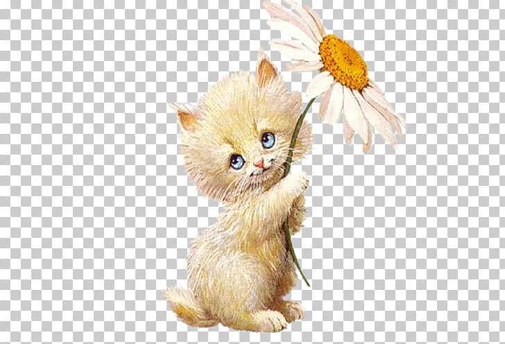 Animation PNG, Clipart, Animal, Animals, Animation, Blog, Carnivoran Free PNG Download