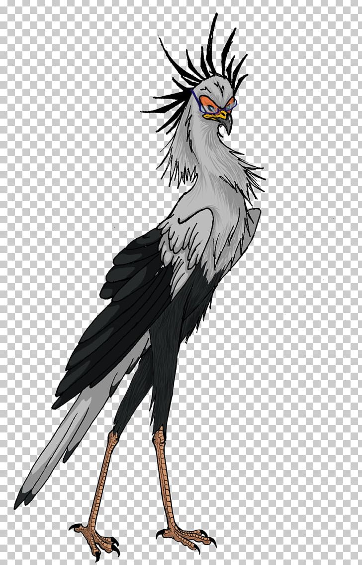 Bird Of Prey Chicken Beak Vulture PNG, Clipart, Animal, Animals, Beak, Bird, Bird Of Prey Free PNG Download