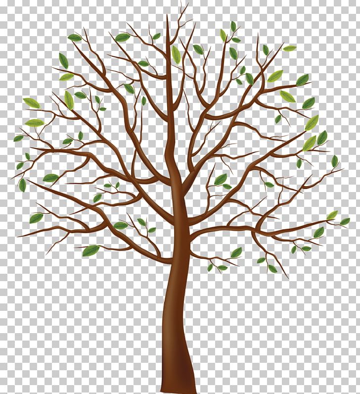 Tree Branch PNG, Clipart, Agac Resimleri, Branch, Flower, Fruit Tree, Leaf Free PNG Download