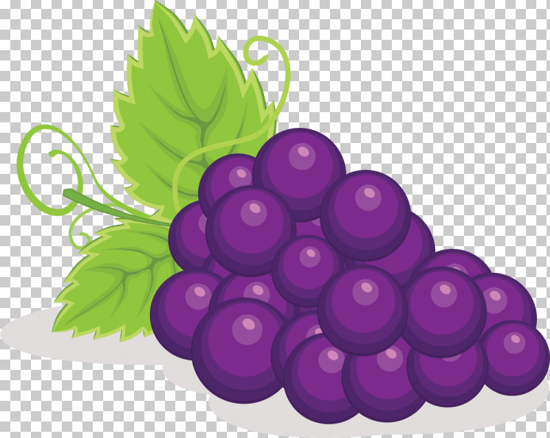Grape Fruit Grapevine Family Seedless Fruit Purple PNG, Clipart, Berry, Fruit, Grape, Grapevine Family, Leaf Free PNG Download