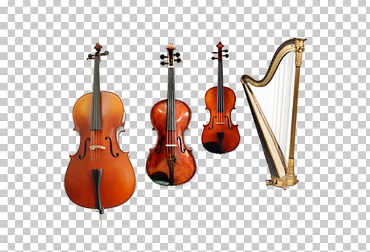 Bass Violin Viola Violone Double Bass PNG, Clipart, Bass Violin, Bowed String Instrument, Cellist, Cello, Celtic Harp Free PNG Download