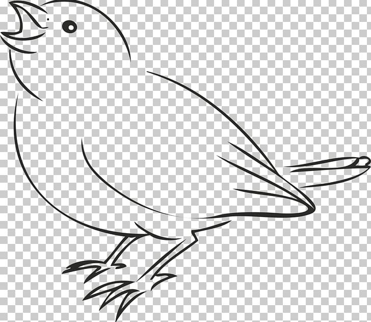 House Sparrow Bird Drawing PNG, Clipart, Abstract Lines, Animals, Area, Art, Beak Free PNG Download