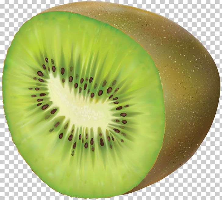 Kiwifruit PNG, Clipart, Download, Drawing, Food, Fruit, Fruit Nut Free PNG Download