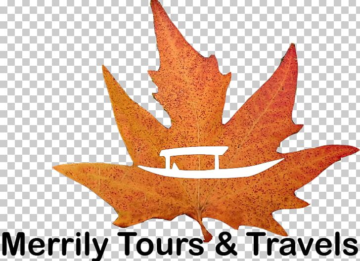 Srinagar Travel New York Jets Hotel Maple Leaf PNG, Clipart, Com, Gmail, Hotel, Jammu And Kashmir, Lalit Hotels Palaces And Resorts Free PNG Download