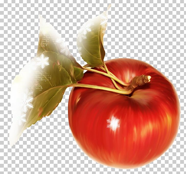 Apple Tomato Fruit Auglis PNG, Clipart, Apple, Apple Fruit, Apple Logo, Apple Tree, Auglis Free PNG Download