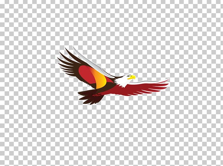Beer Anheuser-Busch InBev Anheuser-Busch InBev SABMiller PNG, Clipart, Anheuserbusch, Anheuser Busch Inbev, Anheuserbusch Inbev, Animals, Beak Free PNG Download