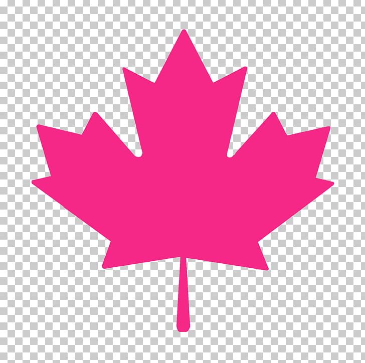 Flag Of Canada Maple Leaf Canadian Red Ensign PNG, Clipart, Canada, Canada Day, Canadian Red Ensign, Flag, Flag Of Canada Free PNG Download