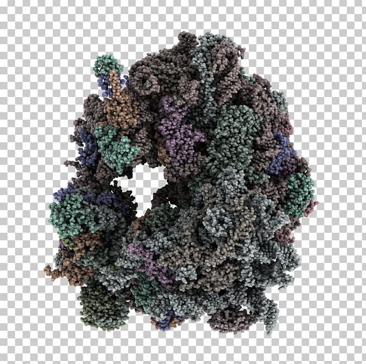 QuteMol PyMOL Tree Rendering Tutorial PNG, Clipart, Ambient Occlusion, Art, Bark, Dollhouse, Howto Free PNG Download