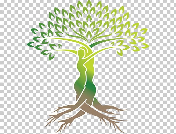 Tree Logo Green PNG, Clipart, Artwork, Branch, Drawing, Flora, Flower Free PNG Download