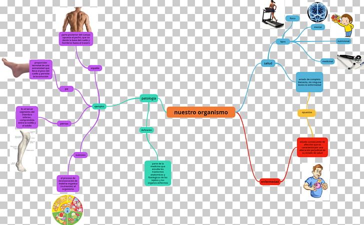 Disease Health Mania Mind Map PNG, Clipart, Actividad, Cable, Communication, Computer, Computer Network Free PNG Download