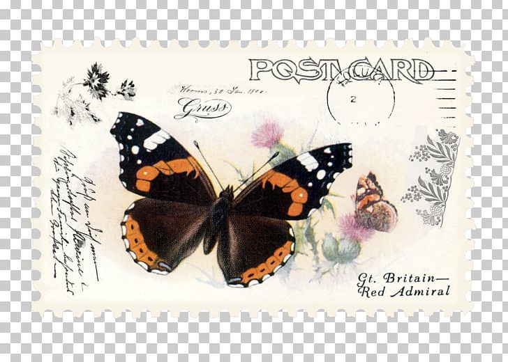 New York Public Library NYPL Digital Gallery Butterfly PNG, Clipart, Brush Footed Butterfly, Butterfly Vintage, Insect, Insects, Invertebrate Free PNG Download