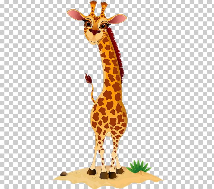 Northern Giraffe Fauna Neck Terrestrial Animal PNG, Clipart, Animal, Animal Figure, Animals, Fauna, Giraffe Free PNG Download