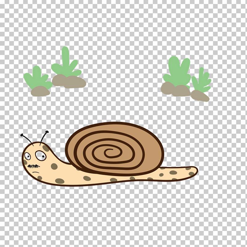 Gastropods Snail Snail Vector Slug PNG, Clipart, Drawing, Gastropods, Mollusca, Slug, Snail Free PNG Download