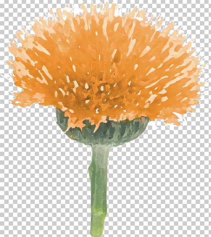 Dandelion Flowerpot PNG, Clipart, Dandelion, Flower, Flowerpot, Orange, Petal Free PNG Download