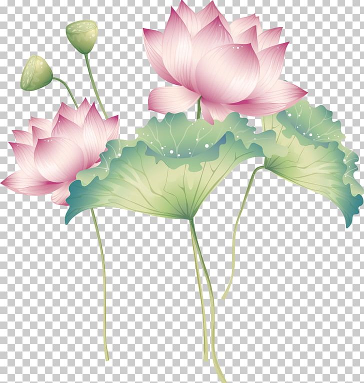Exquisite Lotus PNG, Clipart, Aquatic Plant, Art Exhibition, Artist, Cut Flowers, Encapsulated Postscript Free PNG Download