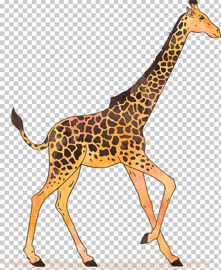 Giraffe Watercolor Painting Drawing Illustration PNG, Clipart, Animal Figure, Animals, Art, Brown, Cartoon Free PNG Download