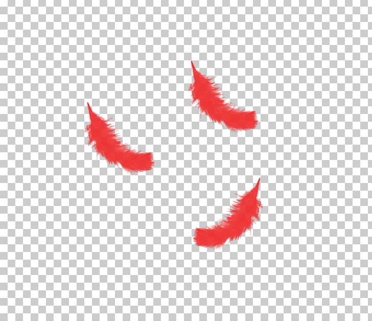 Red Feather PNG, Clipart, Adobe Illustrator, Animals, Download, Encapsulated Postscript, Feather Free PNG Download