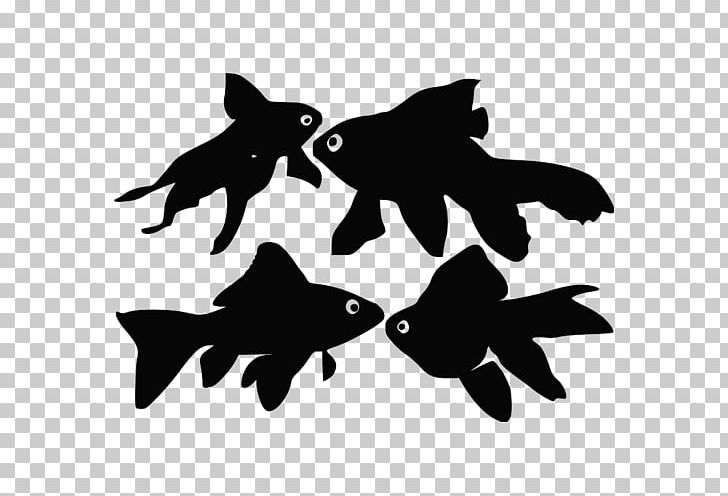 Silhouette Fantail Photography PNG, Clipart, Animals, Black And White, Carp, Computer Icons, Decal Free PNG Download