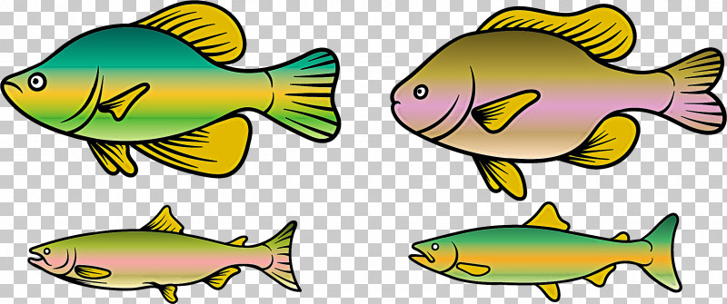 Fish Fish Fin Fish Products Bony-fish PNG, Clipart, Bonyfish, Fin, Fish, Fish Products, Perch Free PNG Download