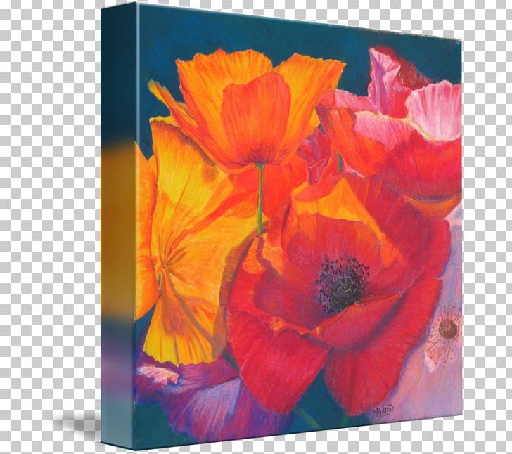 Poppy Still Life Photography Acrylic Paint Painting PNG, Clipart,  Free PNG Download