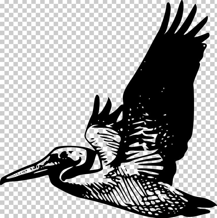 Silhouette Bird Brown Pelican PNG, Clipart, Animals, Art, Beak, Bird, Bird Of Prey Free PNG Download