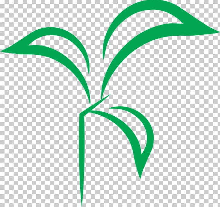 Leaf Line Angle Plant Stem PNG, Clipart, Angle, Area, Grass, Green, Leaf Free PNG Download