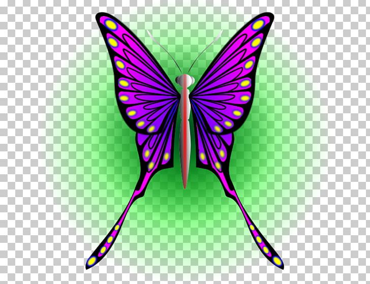 Monarch Butterfly Insect Moth PNG, Clipart, Arthropod, Brush Footed Butterfly, Butterfly, Computer Icons, Insect Free PNG Download