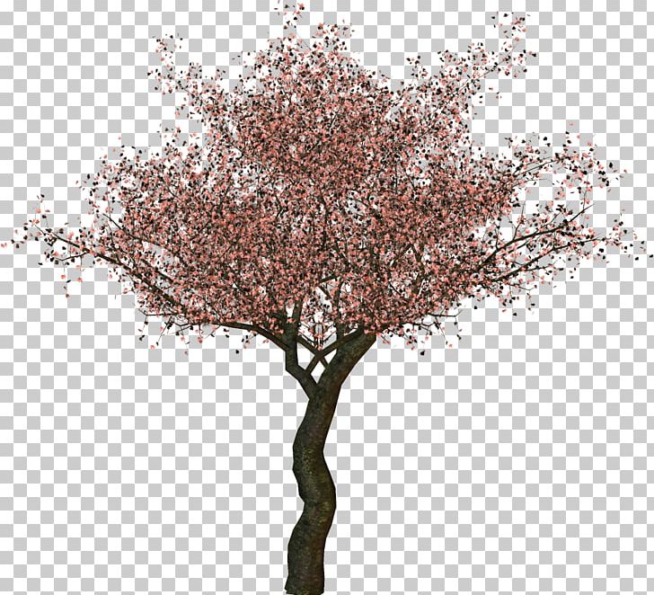 Twig Plum Blossom Tree PNG, Clipart, Blossom, Branch, Cherry Blossom, Data, Lossless Compression Free PNG Download