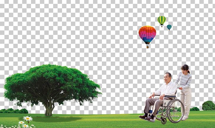 Wheelchairs For The Elderly PNG, Clipart, Advertising, Balloon, Child, Computer Wallpaper, Elderly Free PNG Download