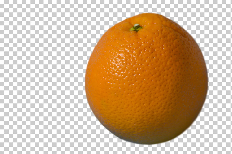 Orange PNG, Clipart, Bitter Orange, Blood Orange, Citric Acid, Citron, Clementine Free PNG Download