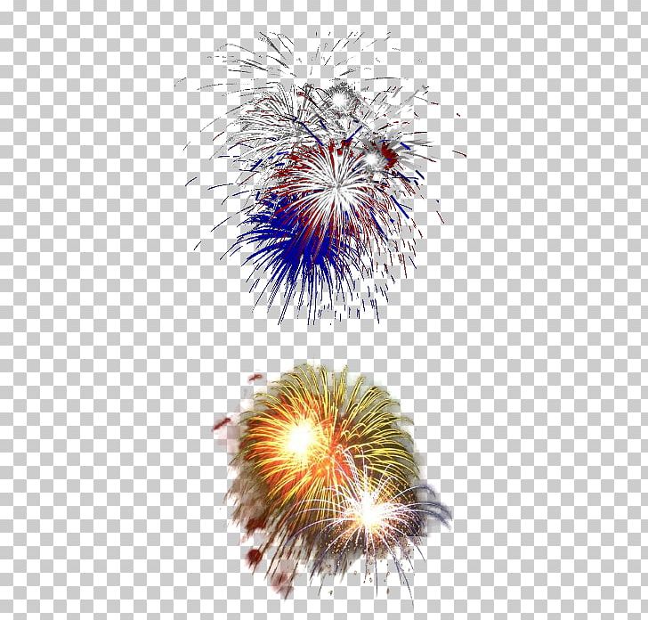 Fireworks Artificier Party PNG, Clipart, Artificier, Blog, Computer Wallpaper, Event, Explosive Material Free PNG Download
