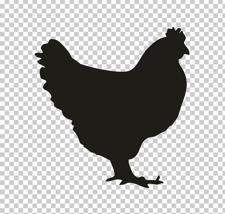 Roast Chicken Wall Decal Sticker PNG, Clipart, Animals, Beak, Bird, Black And White, Bumper Sticker Free PNG Download