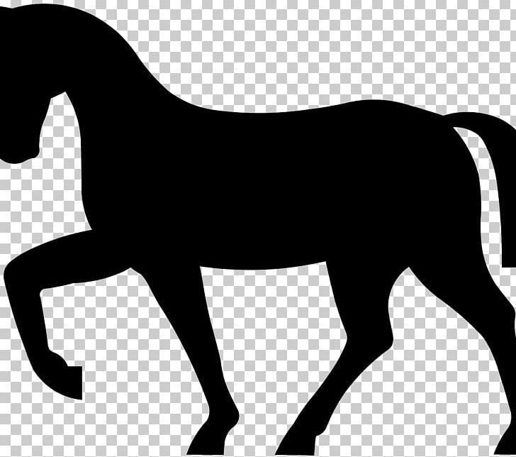 American Paint Horse Mustang Equestrian Computer Icons PNG, Clipart, American Paint Horse, Black, Black And White, Bridle, Colt Free PNG Download