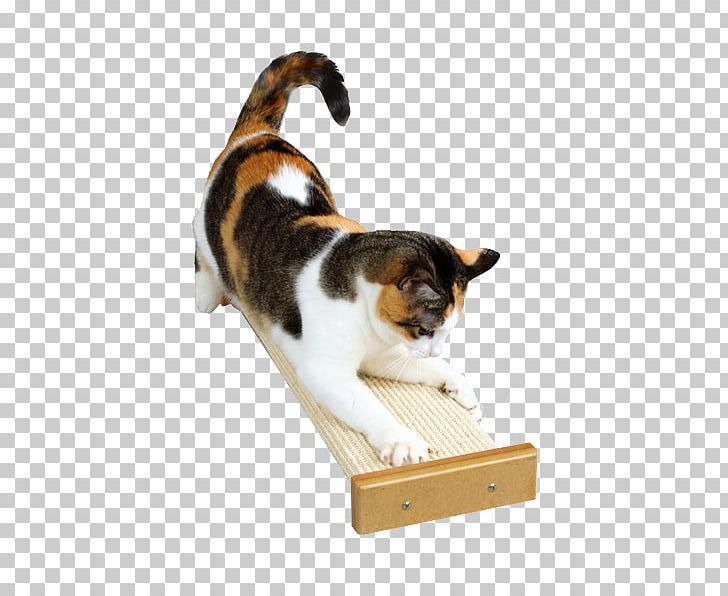 Cat Tree Scratching Post SmartCat Bootsies Combination Scratcher Pet PNG, Clipart, Animals, Carnivoran, Cat, Cat Like Mammal, Cat Play And Toys Free PNG Download